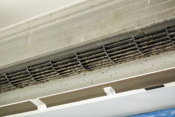 Best Affordable Air Duct Cleaning  in Salisbury, MO